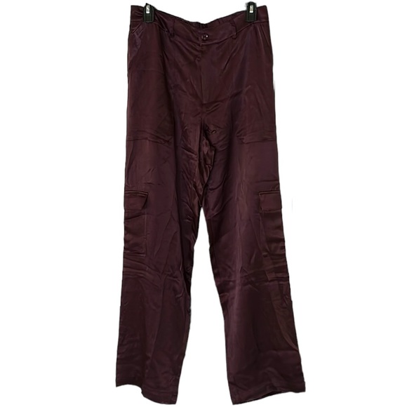 NWT Young Fabulous & Broke Findlay Satin Cargo Carpenter Pants in Raisin - M - Picture 5 of 16